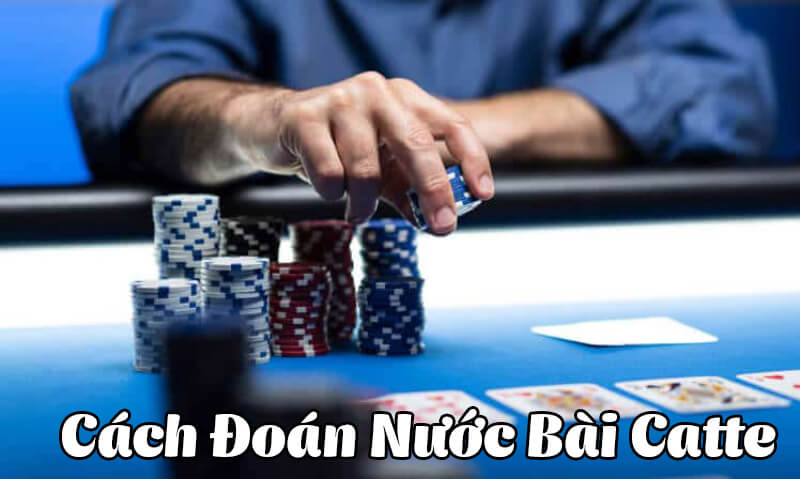 Cách đoán nước bài catte hay nhất từ cao thủ SV88 Club